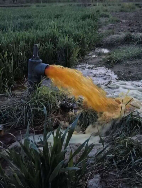 青年早新闻 | 视频直击：这里井水变红，当地回应