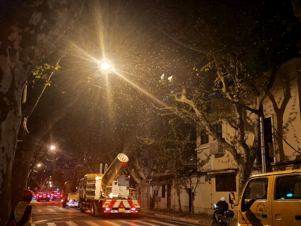 上海精细化治理街头飘絮，除了“洗剪吹”还在“算公式”