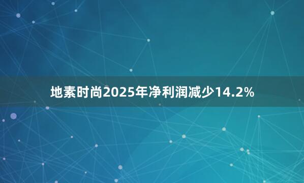 地素时尚2025年净利润减少14.2%