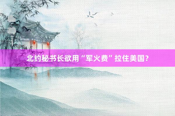 北约秘书长欲用“军火费”拉住美国？