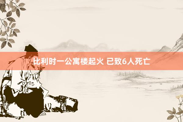 比利时一公寓楼起火 已致6人死亡