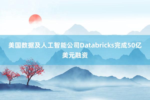 美国数据及人工智能公司Databricks完成50亿美元融资