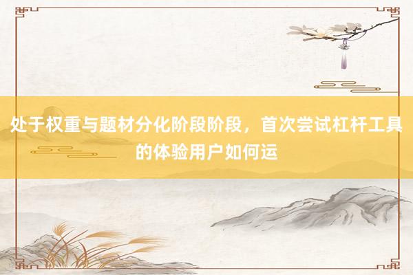 处于权重与题材分化阶段阶段，首次尝试杠杆工具的体验用户如何运