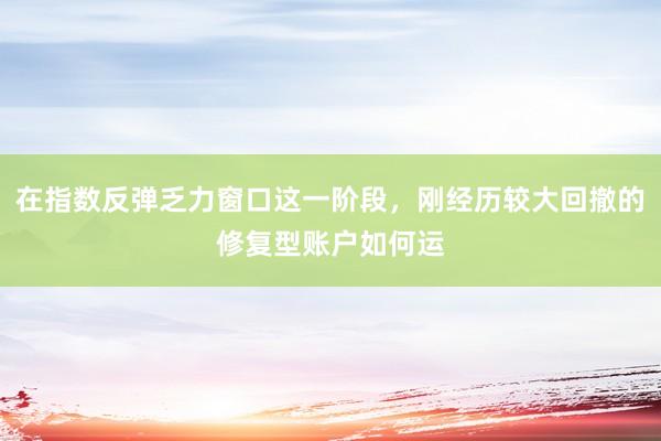 在指数反弹乏力窗口这一阶段,刚经历较大回撤的修复型账户如何运