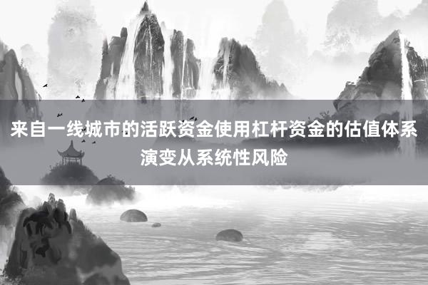 来自一线城市的活跃资金使用杠杆资金的估值体系演变从系统性风险