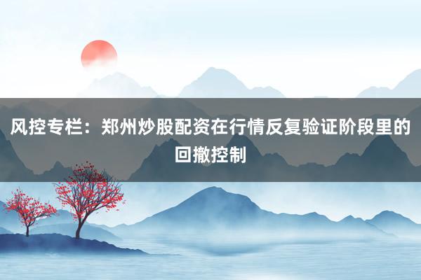 风控专栏：郑州炒股配资在行情反复验证阶段里的回撤控制