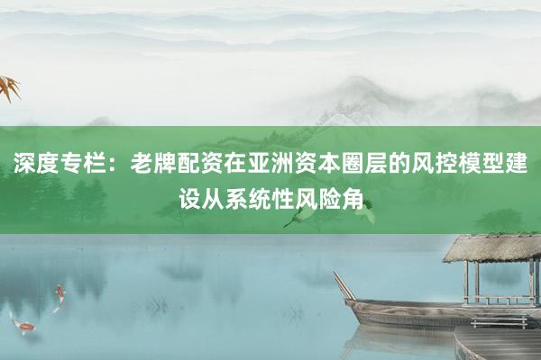 深度专栏：老牌配资在亚洲资本圈层的风控模型建设从系统性风险角