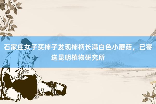 石家庄女子买柿子发现柿柄长满白色小蘑菇，已寄送昆明植物研究所
