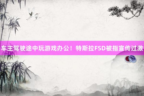 车主驾驶途中玩游戏办公！特斯拉FSD被指宣传过激