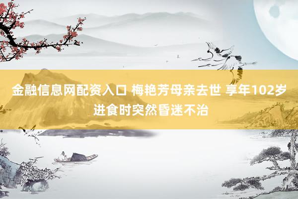 金融信息网配资入口 梅艳芳母亲去世 享年102岁 进食时突然昏迷不治