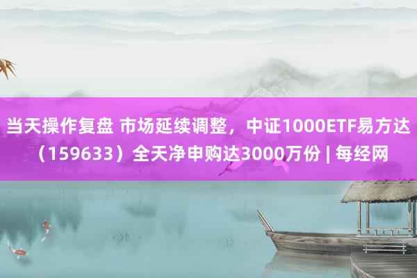 当天操作复盘 市场延续调整，中证1000ETF易方达（159633）全天净申购达3000万份 | 每经网