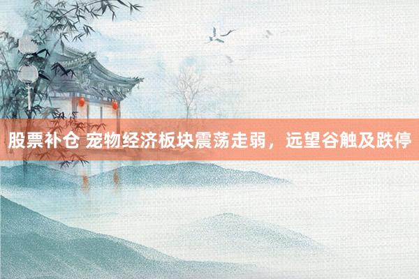 股票补仓 宠物经济板块震荡走弱，远望谷触及跌停