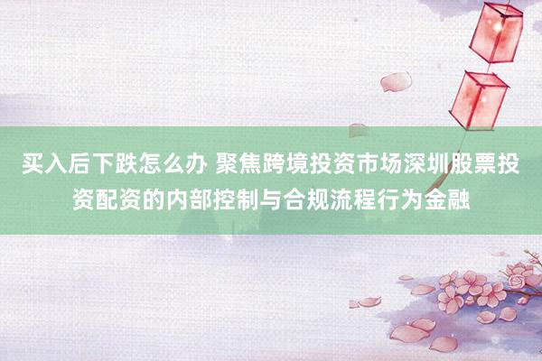 买入后下跌怎么办 聚焦跨境投资市场深圳股票投资配资的内部控制与合规流程行为金融
