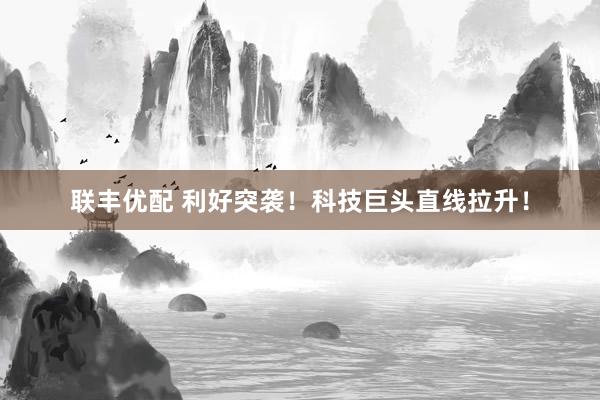 联丰优配 利好突袭！科技巨头直线拉升！