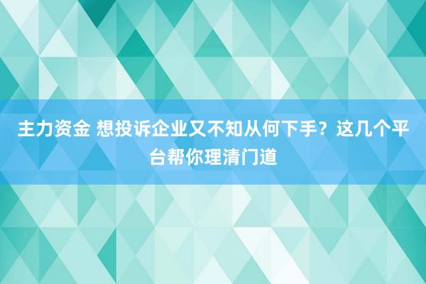 主力资金 想投诉企业又不知从何下手？这几个平台帮你理清门道